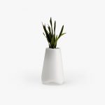 Suspendisse urn dolor