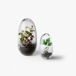Quisque volutpat mattis